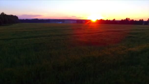 Nascer do sol sobre o campo da fazenda — Vídeo de Stock
