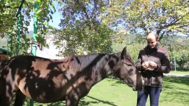 Çiftçi atını besleme