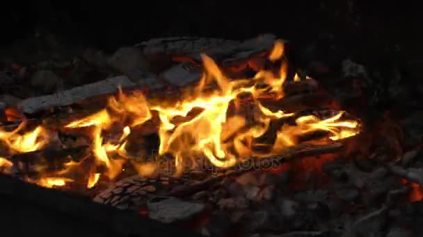 The flames of fire and red embers — Stock Video