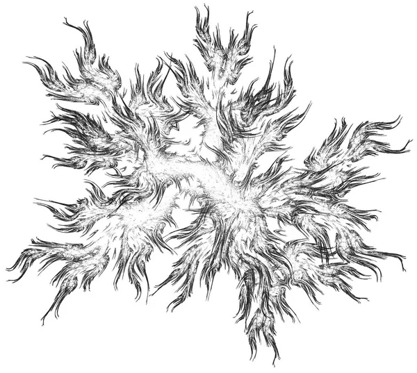 Monokrom abstrakt fractal illustration — Stockfoto