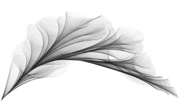 3D візуалізована вуаль виглядає як плюм — стокове фото