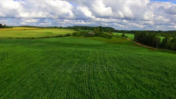 Vuelo con drones sobre las tierras de cultivo — Vídeo de stock