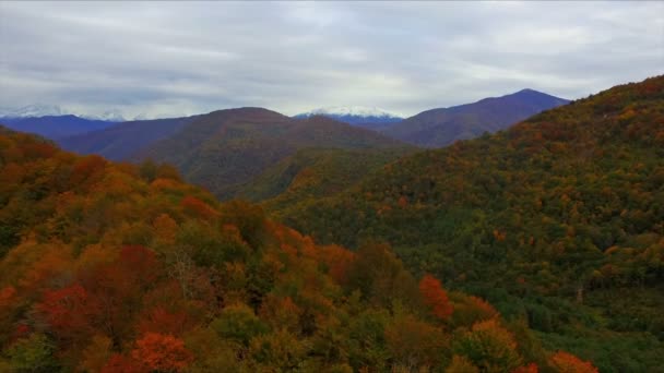 Volando sobre el Cáucaso bosque de montaña de color otoño — Vídeos de Stock