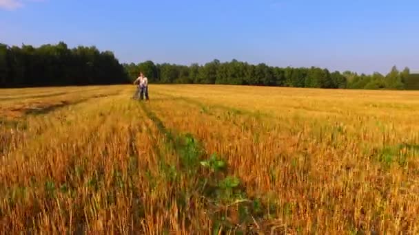 Frau läuft mit Fahrrad am abgeschrägten Weizenfeld vorbei — Stockvideo