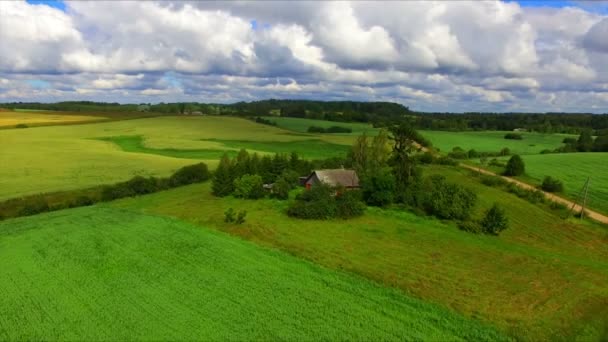 Drone vlucht over de landbouwgrond — Stockvideo