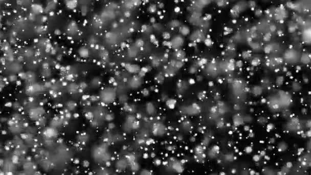 Mooie zwart-wit bokeh wazig intreepupil achtergrond verlichting — Stockvideo