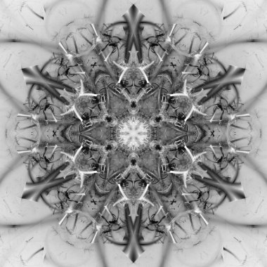 Yaratıcı tasarım için soyut fraktal çizim