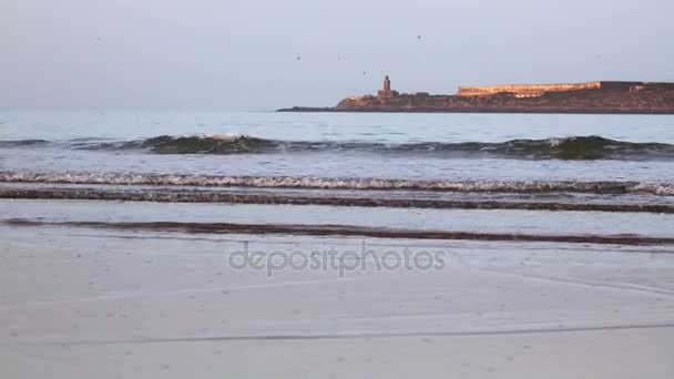 Atlantic ocean beach nära staden Essaouira, Marocko — Stockvideo