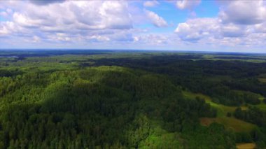 Drone uçuş yeşil ormanlar üzerinde