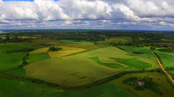 Drone uçuş tarım arazileri üzerinde — Stok video