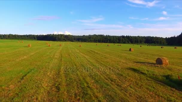 無人飛行、干し草の山の上 — ストック動画