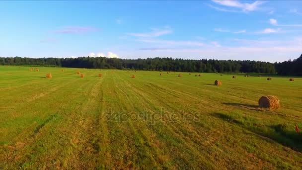 Vuelo de drones sobre el pajar — Vídeo de stock