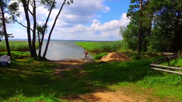 Chico jugando en verde hierba lago orilla — Vídeo de stock