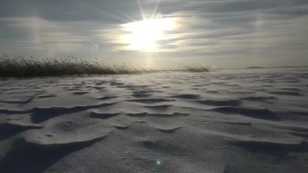 Piękny krajobraz z snowy relief powierzchni i silny wiatr — Wideo stockowe