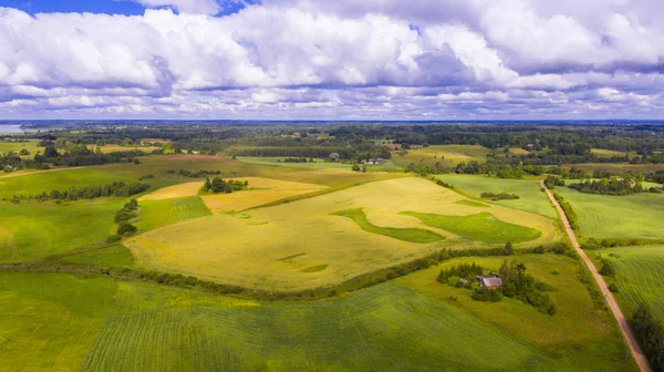 Drone lotu nad gruntów rolnych — Zdjęcie stockowe
