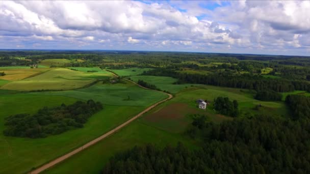 Політ дрона над сільськогосподарськими угіддями — стокове відео