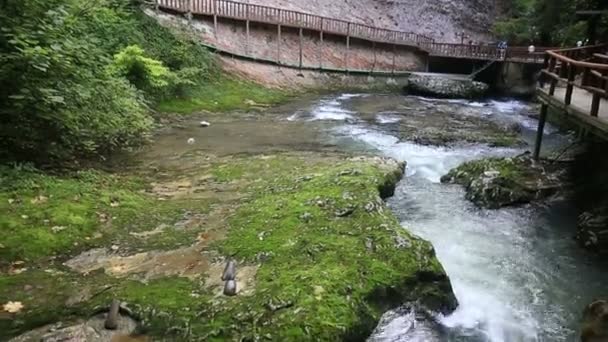 Vista sobre el río de montaña y el puente — Vídeos de Stock