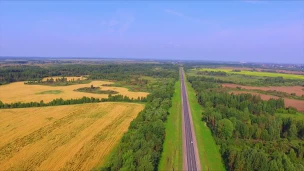 Πτήση drone πάνω στον αυτοκινητόδρομο μεταξύ των πεδίων που ώριμα σίκαλη — Αρχείο Βίντεο