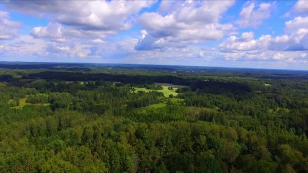 Vuelo de aviones no tripulados sobre los bosques verdes — Vídeos de Stock