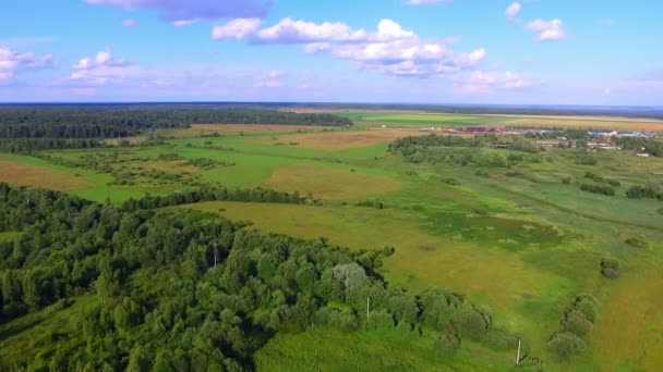 Luftaufnahme von Feldern, Wäldern und einem Dorf im Hintergrund — Stockvideo