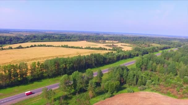 Drone vlucht boven de weg tussen de velden rijp rogge — Stockvideo