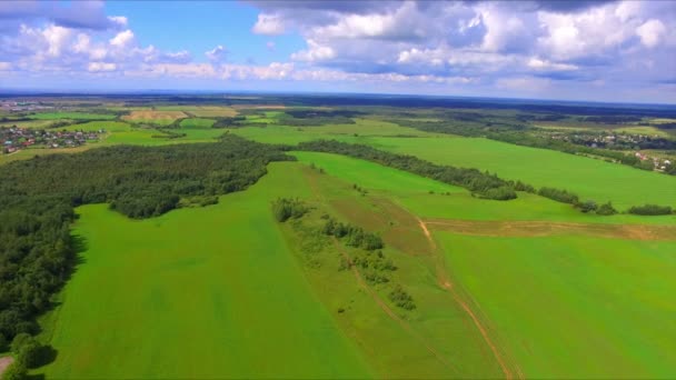 Drone flight over thegreen fields — Stock Video