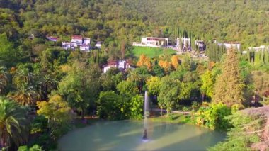 Yeşil park su birikintisi ve çeşme ile üzerinde havadan görünümü