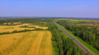 Drone uçuş olgun çavdar kulakları alanın üzerinde