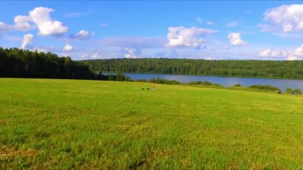 Kvinnan promenader i det gröna fältet med två hundar — Stockvideo