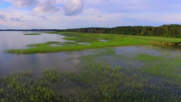 Aerial view of lake and national park Razna in Latvia — Stock Video
