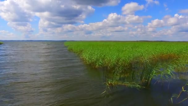 Veduta aerea del lago e del parco nazionale Razna in Lettonia — Video Stock