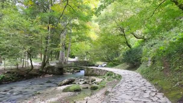 Spostandosi lungo il sentiero asfaltato lungo il fiume di montagna — Video Stock