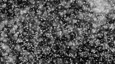 Güzel tek renkli bokeh arka plan defocused ışıklar bulanık