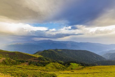 Güzel dağ yaz görünümü