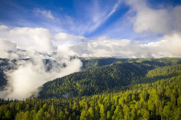 Voo de drone ao longo das árvores nas montanhas — Fotografia de Stock