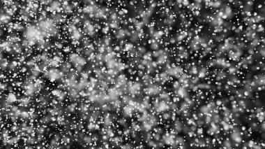 Güzel tek renkli bokeh arka plan defocused ışıklar bulanık