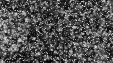 Güzel tek renkli bokeh arka plan defocused ışıklar bulanık