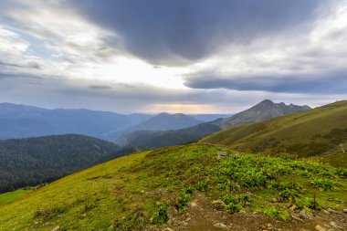 Güzel dağ yaz görünümü