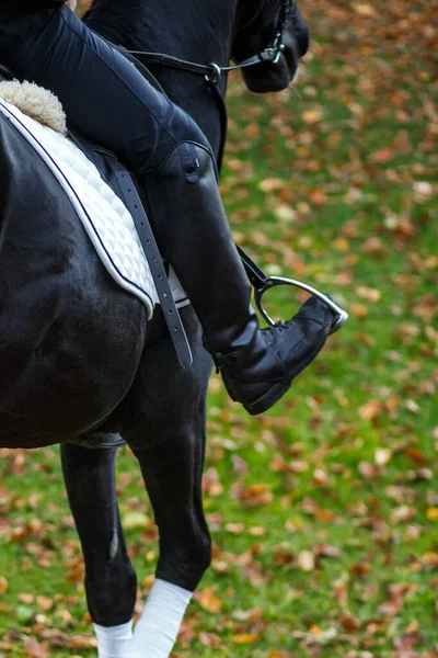 close up of young man riding a horse in mountains near lake and old mill. equestrian sport concept. man\'s equitation on black horse. professional male jockey. vacation on horse farm. vacation with horses. hobby