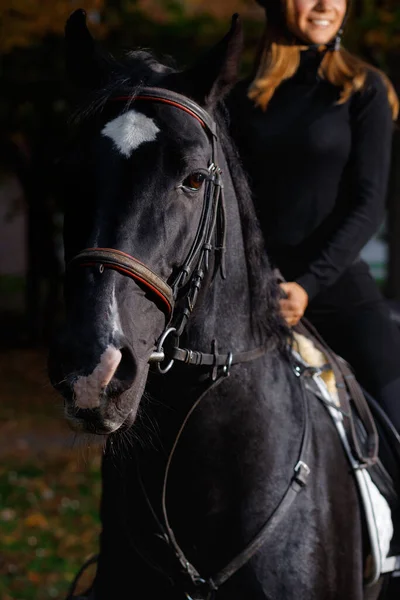 Hermosa Joven Montar Caballo Una Montaña Deporte Ecuestre Jockey Femenino —  Fotos de Stock