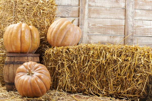 Pumpkin on straw and wooden barrel — Stock Photo, Image