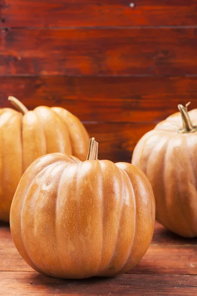 Fondo de acción de gracias calabaza otoño — Foto de Stock