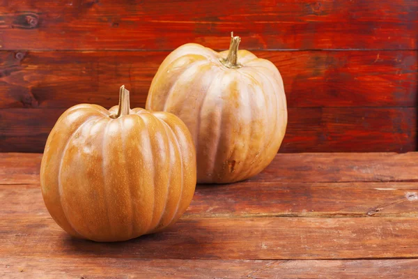 Fondo de acción de gracias calabaza otoño — Foto de Stock