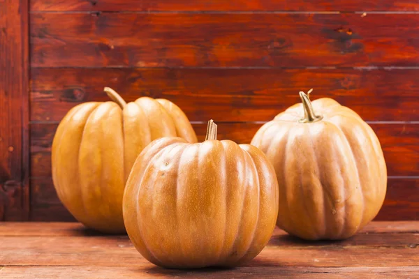 Hösten pumpa Thanksgiving bakgrund — Stockfoto
