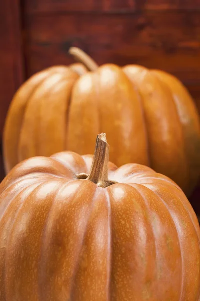 Autunno zucca Ringraziamento sfondo — Foto Stock