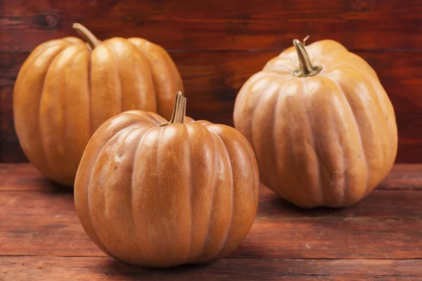 Hösten pumpa Thanksgiving bakgrund. Orange pumpor över wo — Stockfoto