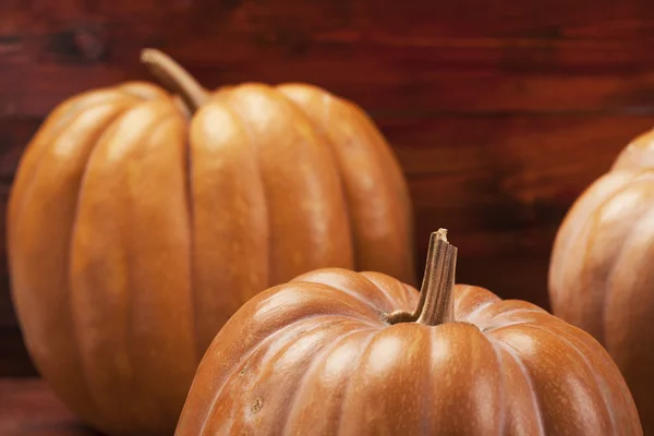 Fondo de acción de gracias calabaza otoño — Foto de Stock