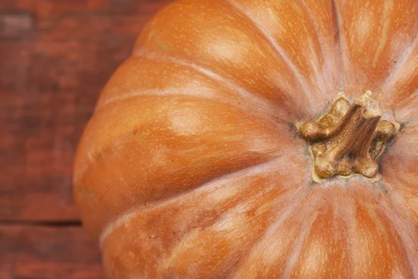 Fondo de Acción de Gracias de Calabaza de Otoño. Calabazas anaranjadas sobre wo —  Fotos de Stock