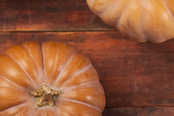 Fondo de acción de gracias calabaza otoño — Foto de Stock