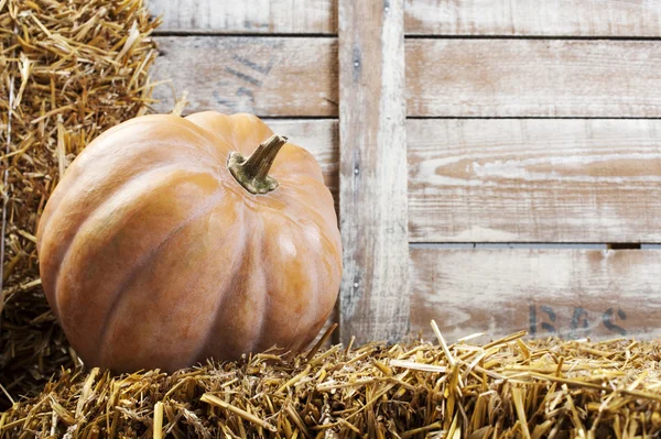 Pumpa och halm i gammal lada — Stockfoto